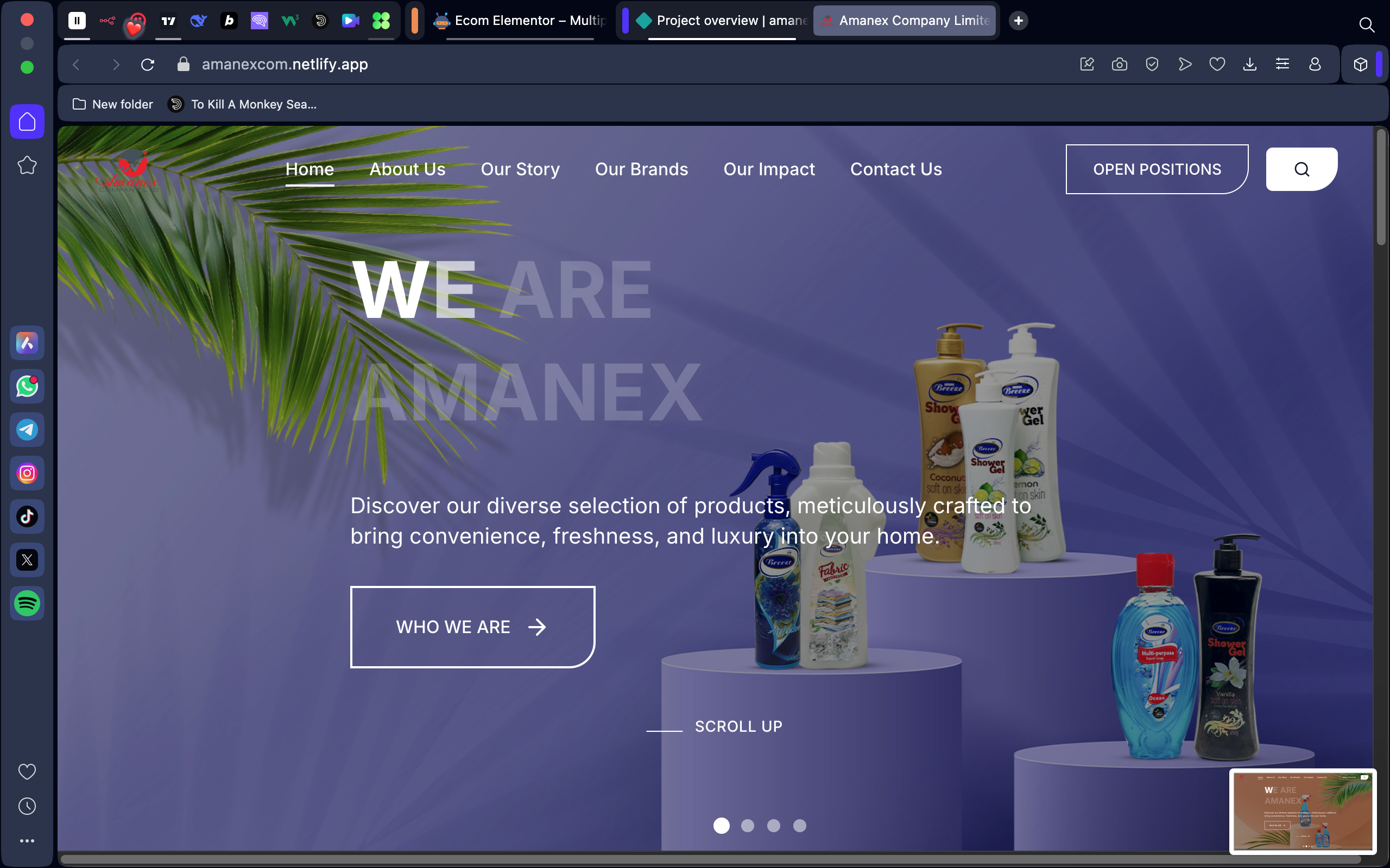 Amanex Group
