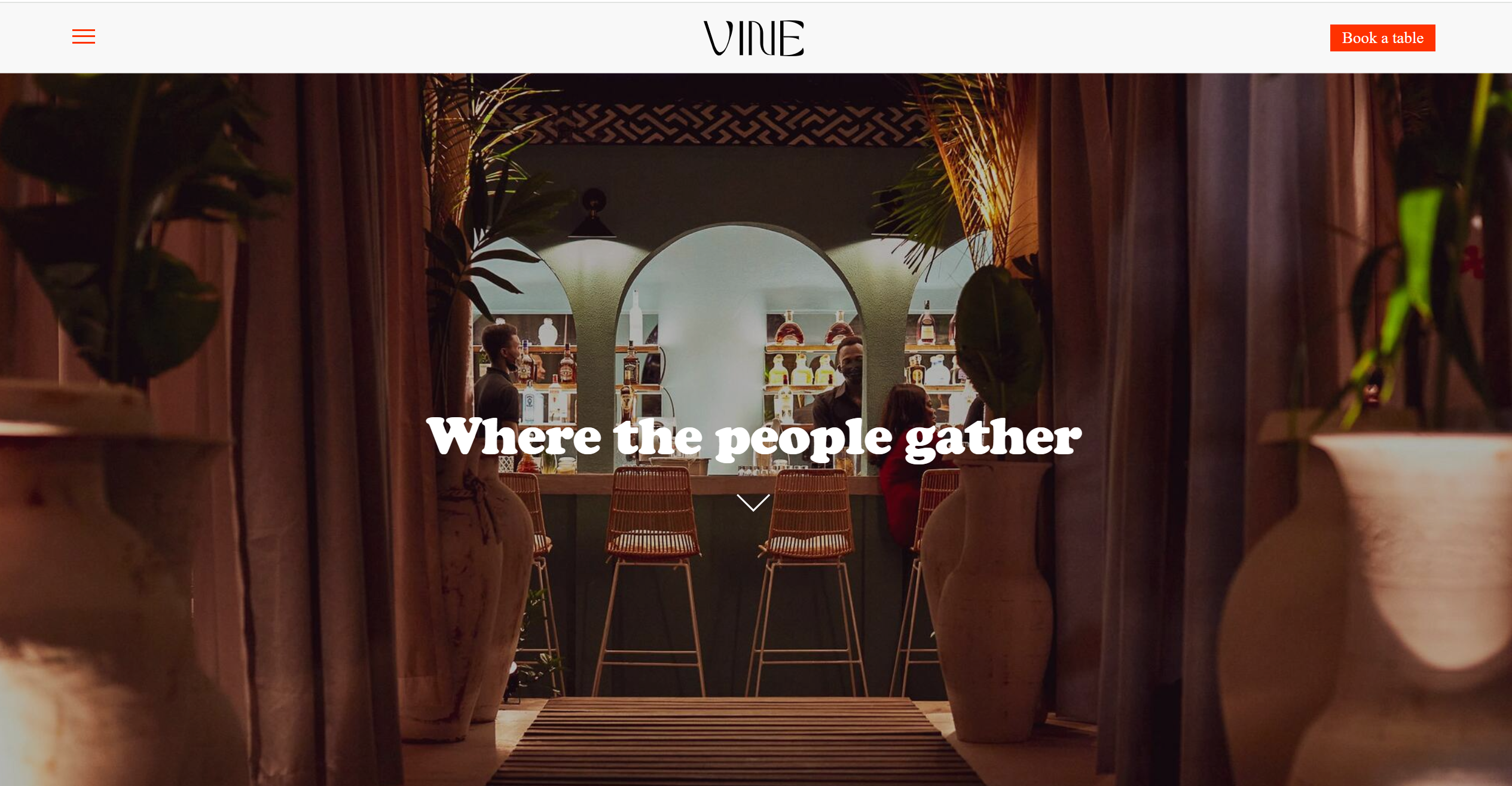 Vine Digital Solutions